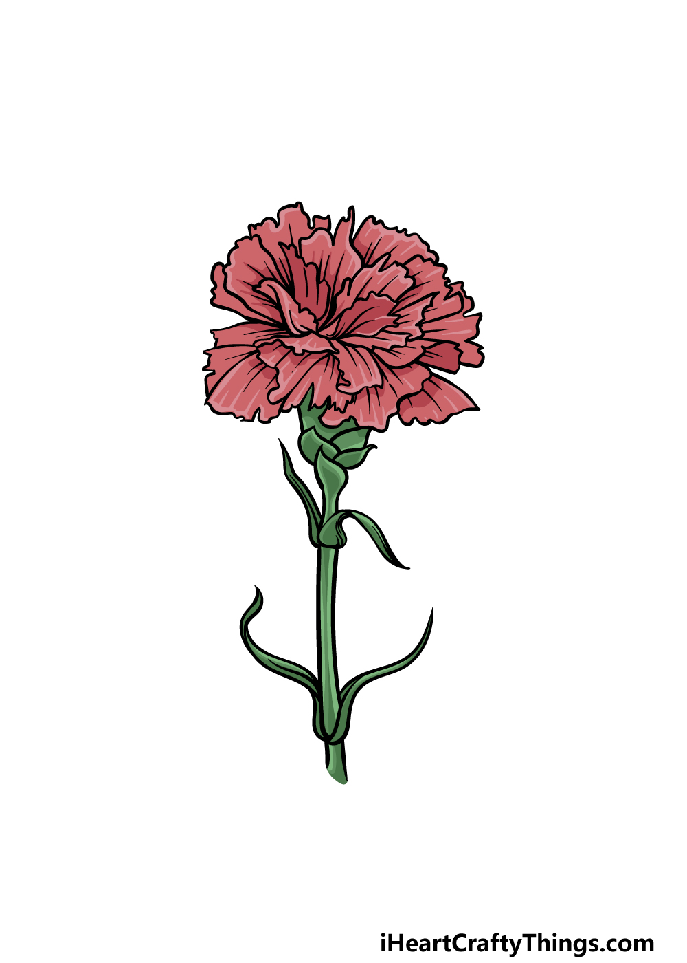 Carnation Drawing - How To Draw A Carnation Step By Step